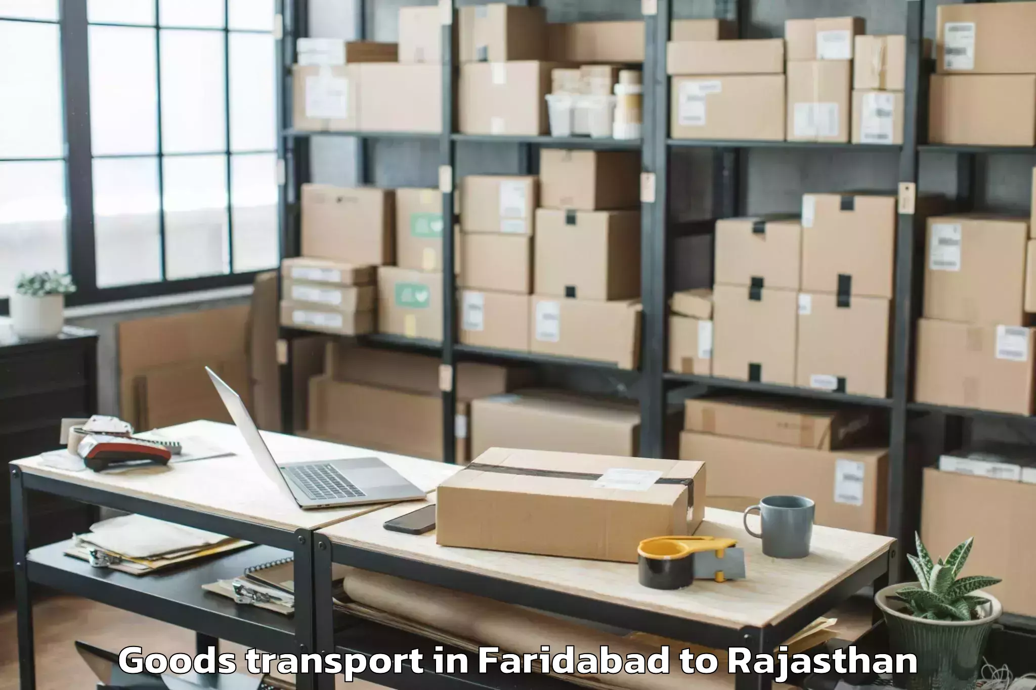 Expert Faridabad to Central University Of Rajastha Goods Transport